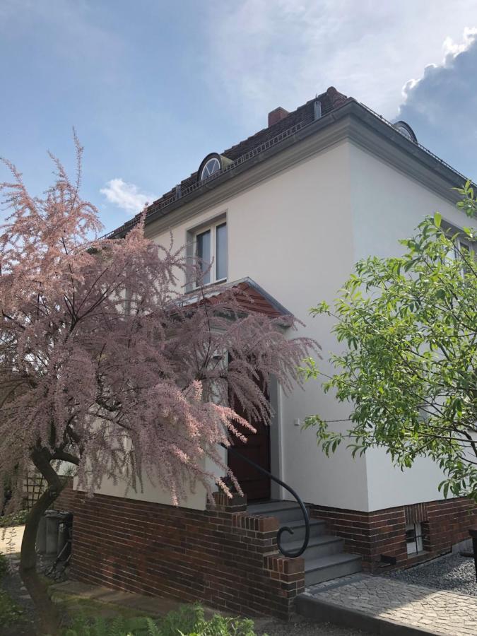 הוילה דרזדן Haus Welzel מראה חיצוני תמונה