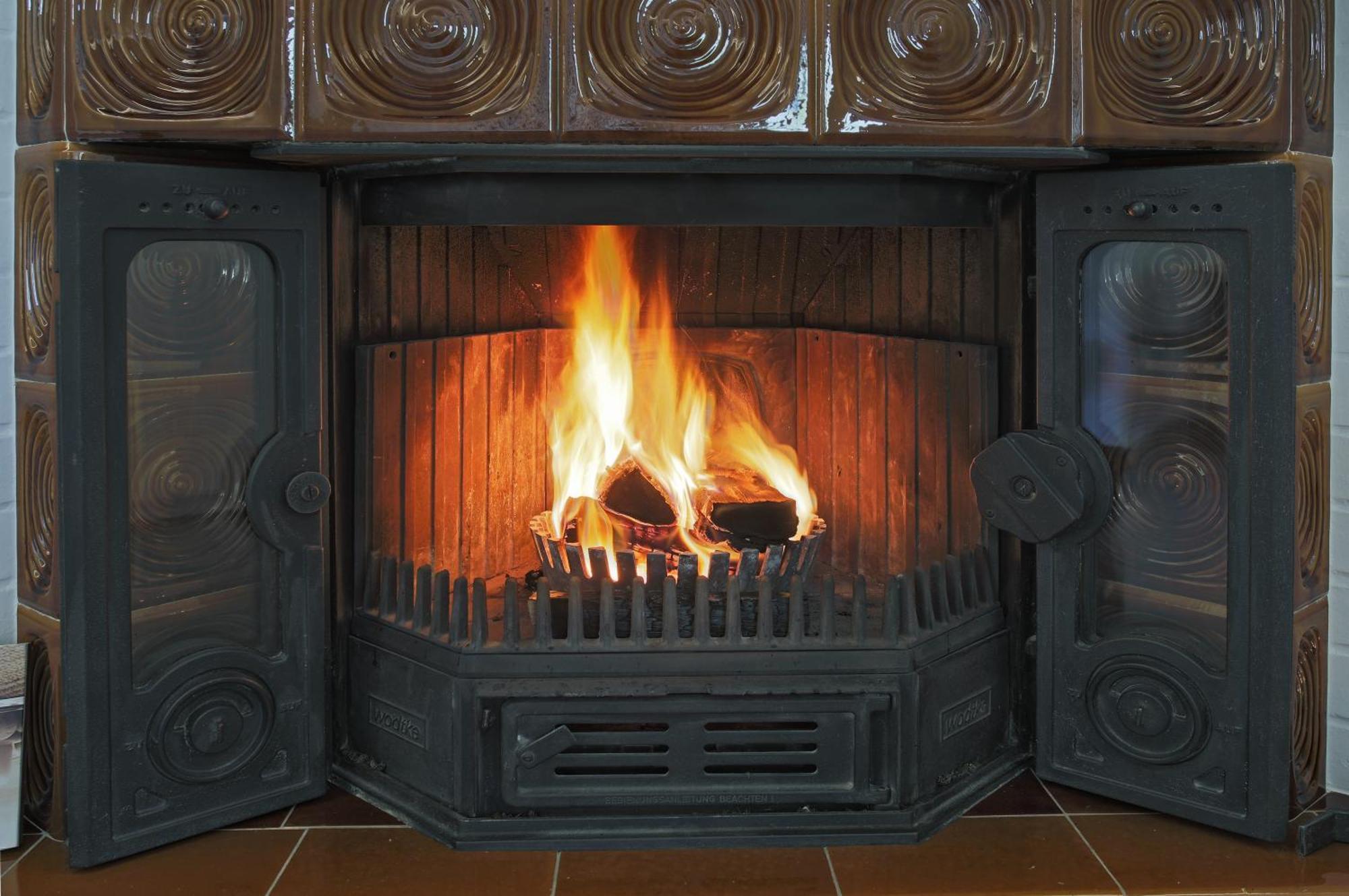 הוילה דרזדן Haus Welzel מראה חיצוני תמונה